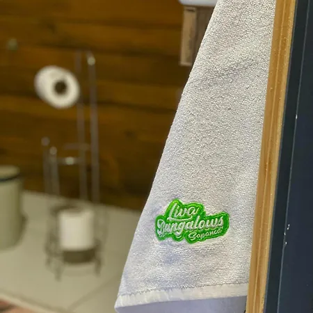 Летний дом Liva